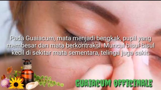 Guaiacum Officinale | Homeopathy Materia Medica Indonesia | Homeopati смотреть онлайн