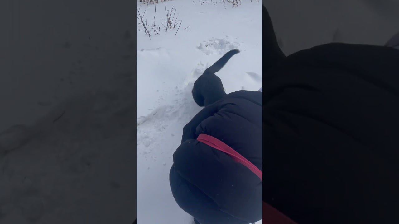 17 февраля 2024 г. смотреть онлайн