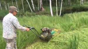 Как косилка для заготовки сена Caiman RM60S косит траву.mp4