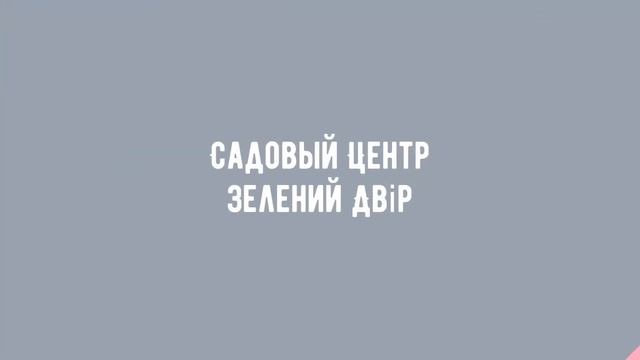 Садовый Центр Зелений Двір - Можжевельник горизонтальный Andorra Compacta C3