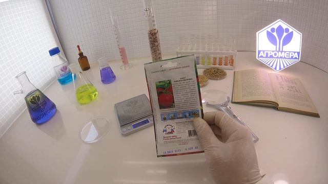 Томат Райское Яблочко. Седек смотреть онлайн