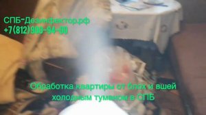 Обработка квартиры от блох и вшей холодным туманом СПб +7(812)900 94 00 СПб Дезинфектор СЭС