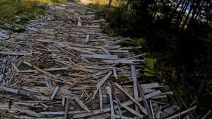 Брейтовский район 2023 г