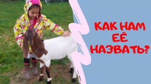 НОВАЯ КОЗОЧКА PATERI GOATS