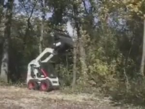 Мульчер (Forestry Cutter) Bobcat.mp4