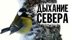 ДЫХАНИЕ СЕВЕРА | Валаамский монастырь