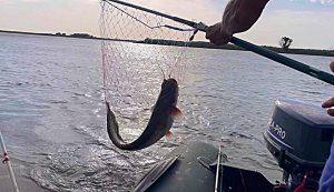 ЕДЕМ ОТДЫХАТЬ НА РЫБАЛКУ. АСТРАХАНСКАЯ ОБЛАСТЬ, СЕЛО МУМРА.