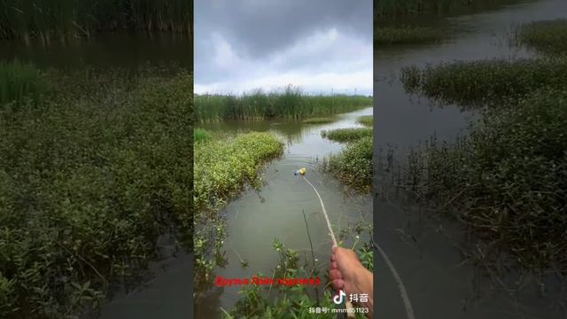 Потерял поплавок а ловить рыбу охота смотреть онлайн