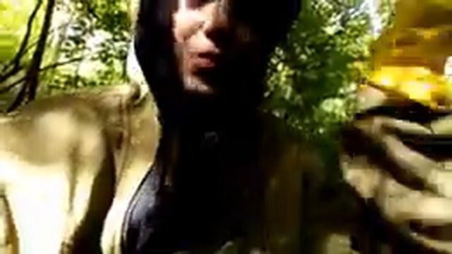 Шампиньоны - грибы подземные смотреть онлайн