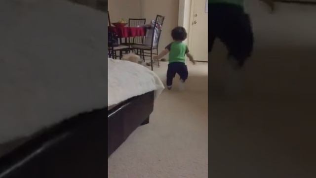 Go fetch has a whole new definition смотреть онлайн