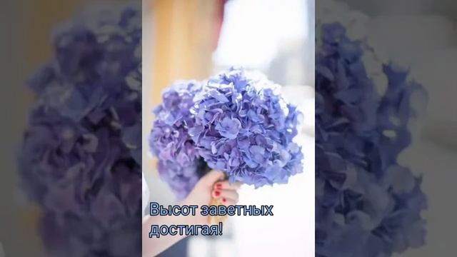Самое красивое пожелание! Самое лучшее пожелание!