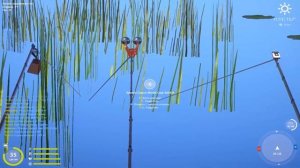 Русская рыбалка 4(рр4/rf4) - Озеро Медвежье, 350 монет в час на Амурах и Карпах!!!