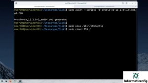 Curso de Ubuntu Server 20 desde cero para principiantes | INSTALAR ORACLE 11G XE (video 40)