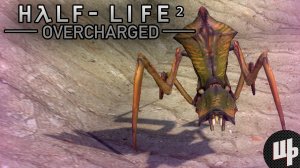 Чужой пугает меня в Гарис мод