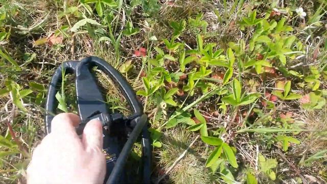 At Gold штатная катушка против NEL Sharpshooter смотреть онлайн