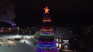 Устьянский район