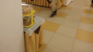 Это все обман! Ужин не нужен! Курортный отель СанМаринн SunMarinn Анапа.