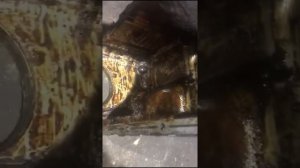 Профилактическая чистка поддона Мицубиси Паджеро 3.0 бензиновый масляный заборник