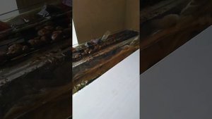 Лечение "Данио"