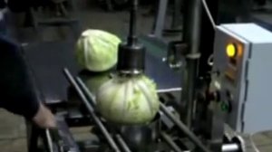 Машина для удаления кочерыжек из капусты