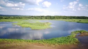 Сташково Пермский край август 2022