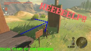 Zelda tears of the kingdom ПАМАГИТЕ Я ТУТХ