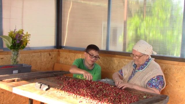 Даже из мечты можно сварить варенье, если добавить фруктов и сахара.