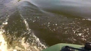 Надувная лодка Колибри К-240 под двигателем Yamabisi 2,6