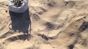 чистка песка на пляже Обского моря