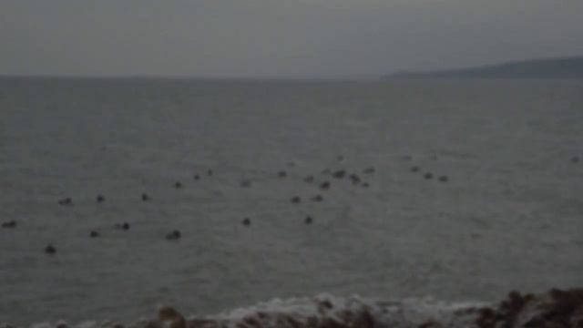 Тест оптики Fujifilm 2500hd смотреть онлайн