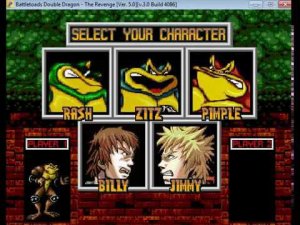 Battletoads & Double Dragon - The Revenge [Ver. 5.0] (OpenBoR) - Survival - real-time playthrough