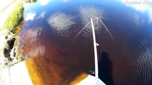 Рыбалка на подъёмник ПАУК, за час распугали всю рыбу