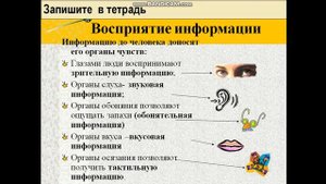 информация вокруг нас_1 четверть_1 урок_5 класс