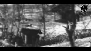 АБРЕК ЗЕЛИМХАН