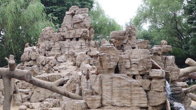 XITOYDAGI QORQINCHLI ZOOPARK 😱