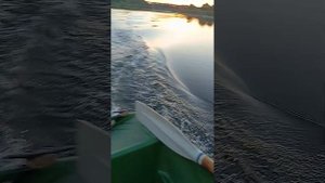 скорость лодки шарк 255 и мотор сузуки 2,5 4 т.