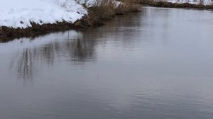 Ловля КАРАСЯ зимой! Секретное место!