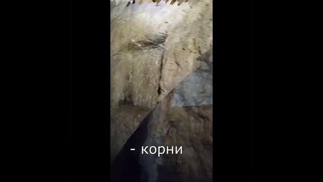 Мусульманский семейный пеший поход Московская область река Осётр/Muslim family hiking Moscow region