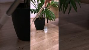 Система для Уборки. HOUSEGURU / Швабра с ведром
