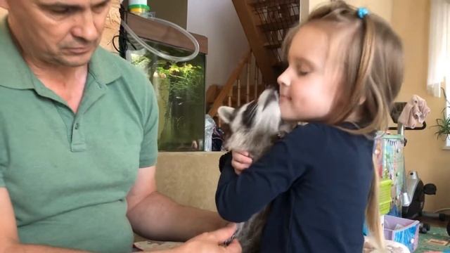 Малыш енота полоскуна в семье директора Зоопарка Первое знакомство смотреть онлайн