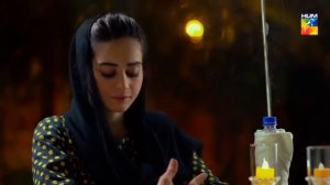 Ishq Tamasha Episode #23 HUM TV Drama - Mehrab