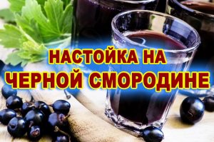 Настойка самогона на чёрной смородине