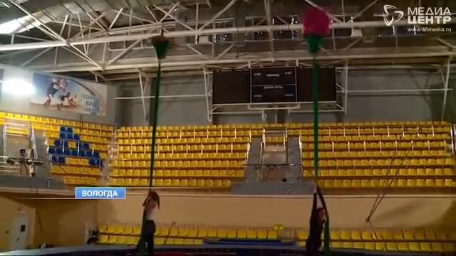 В Вологде артисты цирка отказались выступать