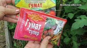 ПОДКОРМКИ  ТОМАТОВ -от А до Я .УДОБРЕНИЯ -БЕЗ ХИМИИ для УРОЖАЙНОСТИ .