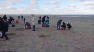 В Германии весь пляж засыпало киндер-сюрпризами