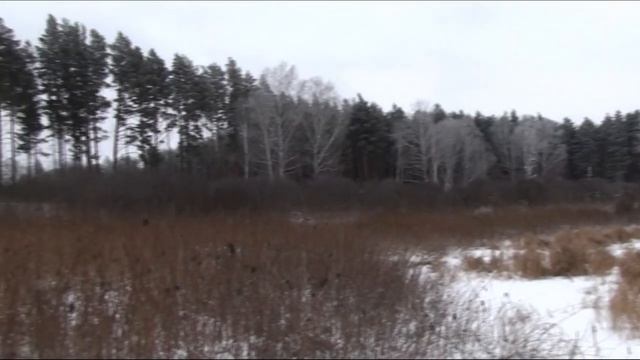 063.Тайна пятого озера. Озеро Конопляное. Деревня Окунево Омская область - Место Силы.