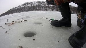 Ловлю Тарань со льда !! 🔥🔥🔥 первое видео 2022 👍👍👍