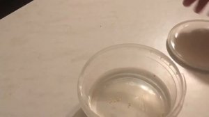 Выращивание перца Dragon’s breath #1