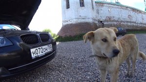 Найденные нами авто Почти новая BMW E60