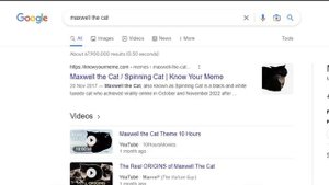 Maxwell the Cat Vs Beluga the cat